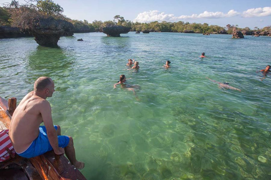 Safari Azul Aventura