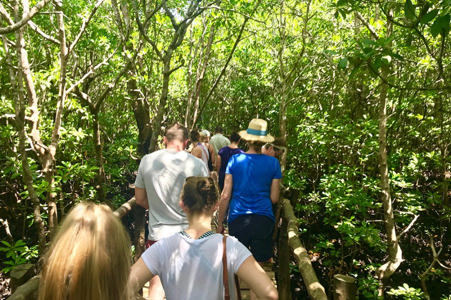 Excursión al bosque de Jozani
